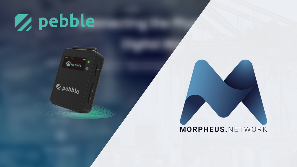 Pebble Tracker + Morpheus.Network révolutionnent la chaîne d'approvisionnement